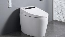 冲马桶的视频,清洁力与节水技巧大公开