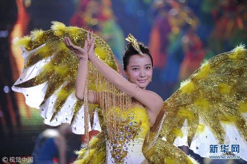 金鹰女神视频,精彩视频回顾