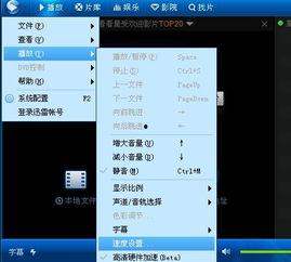 慢放视频下载