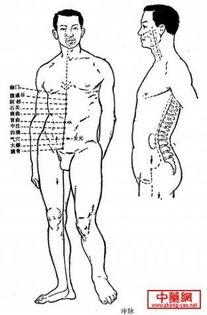冲脉视频,揭秘人体生命之河的神奇力量