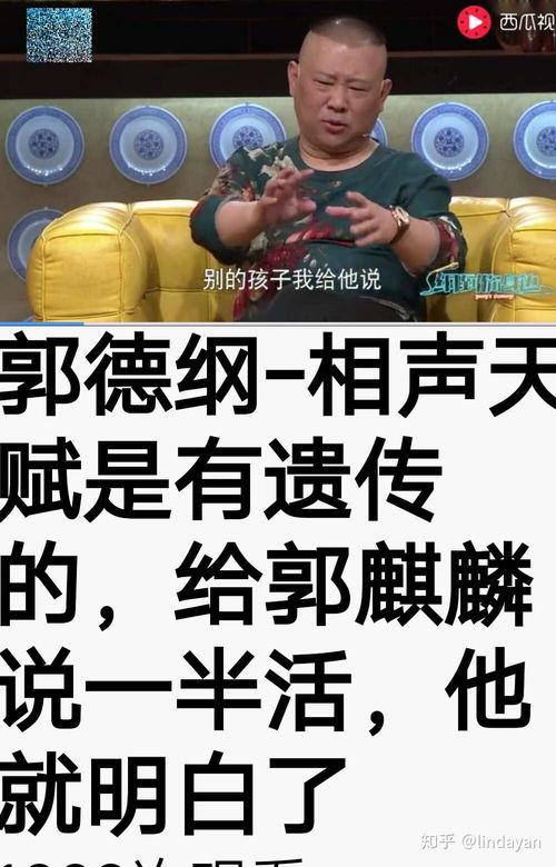有B视频,揭秘其独特魅力与影响力