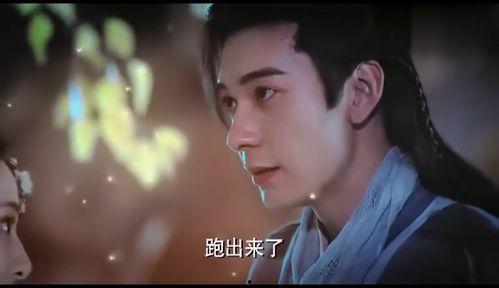 东宫吻戏视频