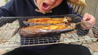 茄子在线观看视频在线观看18,18分钟视频深度解析